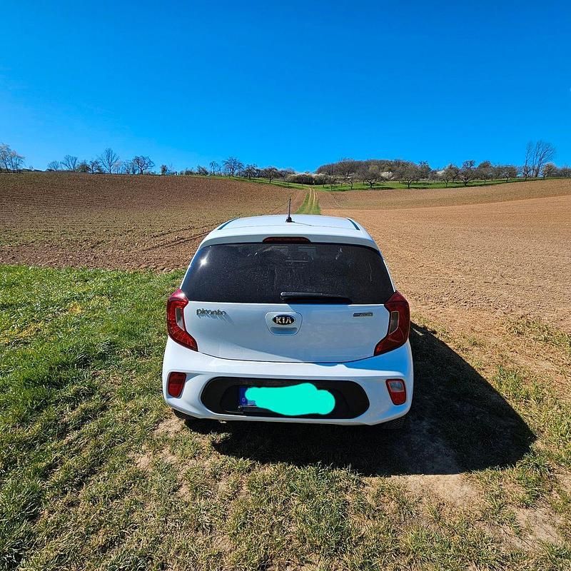 Gebraucht Kia Picanto Attract 67 PS (49 kW) 2018 Weiß Kleinwagen