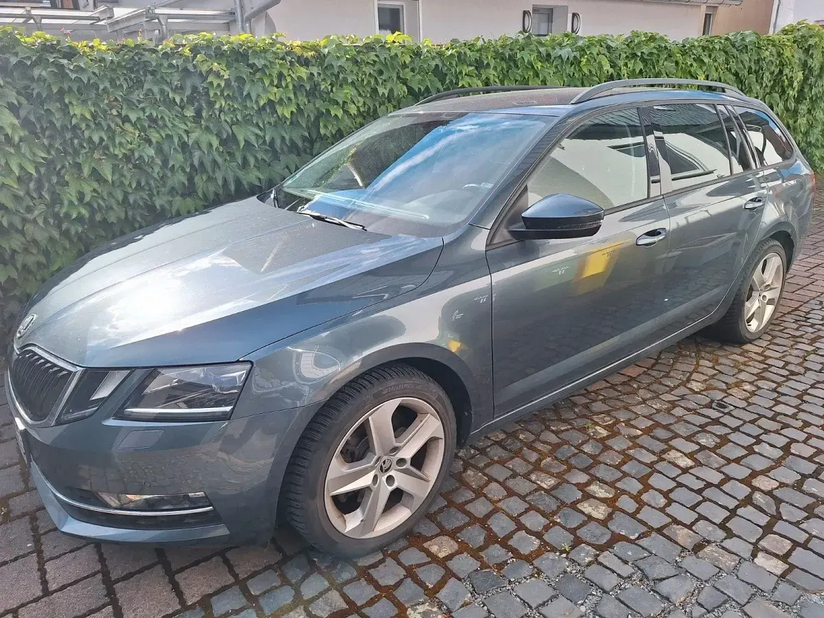 Gebraucht Skoda Octavia Style 179 PS (131 kW) 2018 Grau Kombi