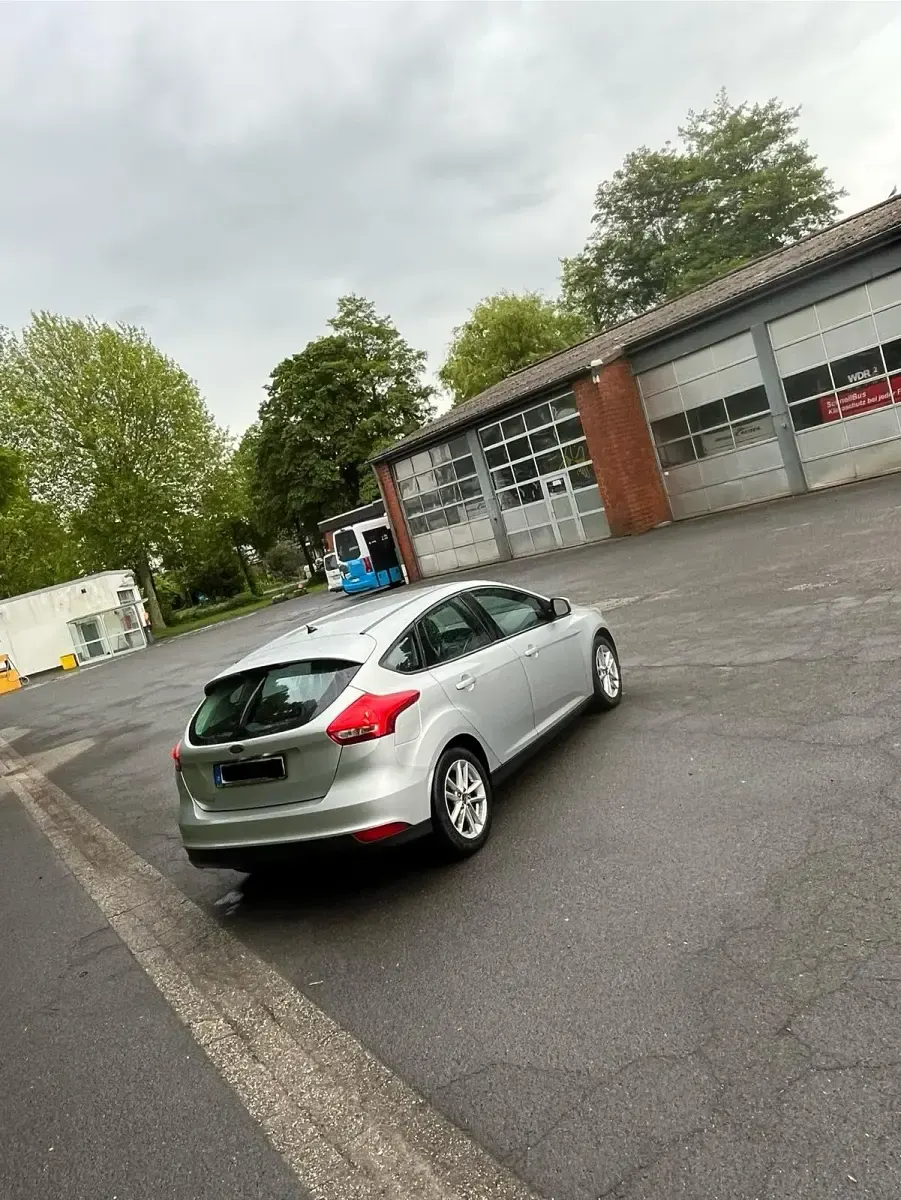 Usata Ford Focus Titanium 125 CV (91 kW) 2015 Argento Utilitaria