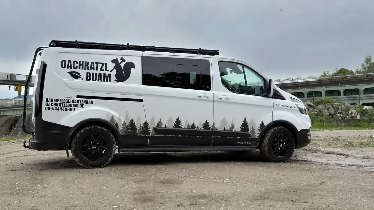 Gebraucht Ford Transit Custom 170 PS (125 kW) 2021 Weiß Van / Kleinbus