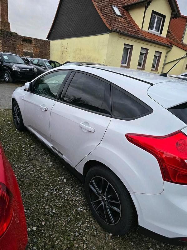 Usata Ford Focus 125 CV (91 kW) 2013 Bianco Utilitaria