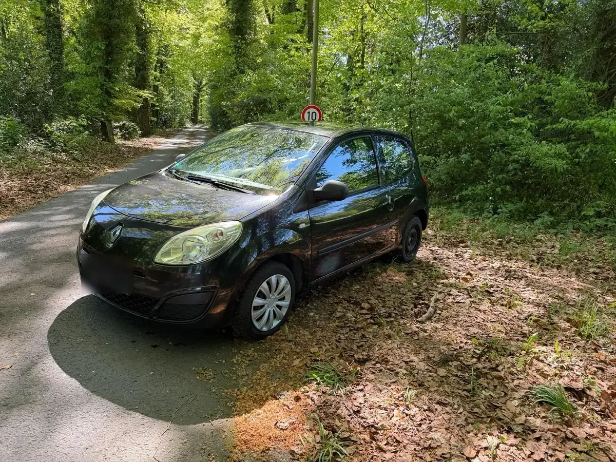 Używany Renault Twingo 58 KM (42 kW) 2009 Czarny Hatchback