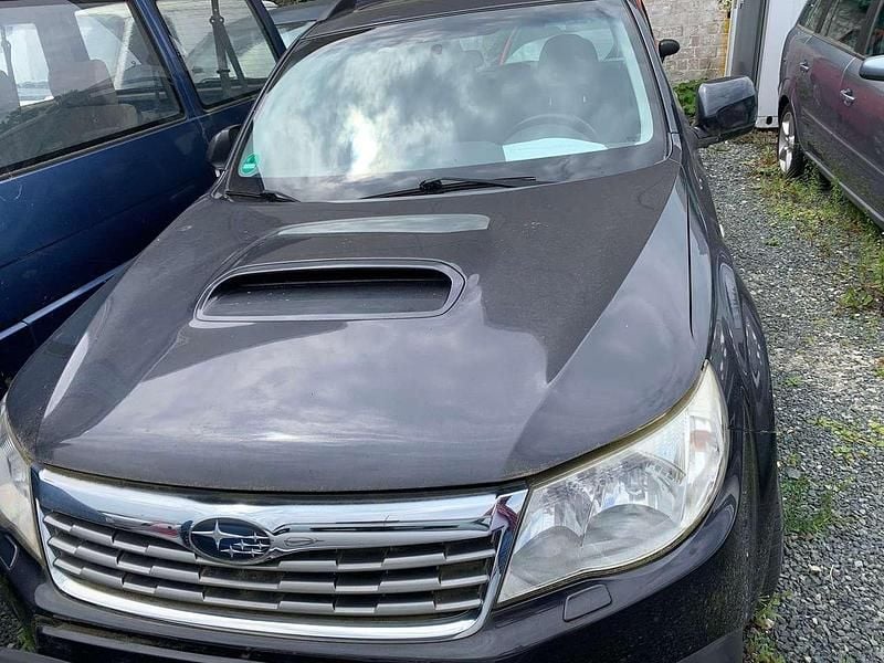 Dark gray (m) Gebraucht 2009 Subaru Forester Comfort SUV | 3.290 € (Superpreis) - Bild 1/4