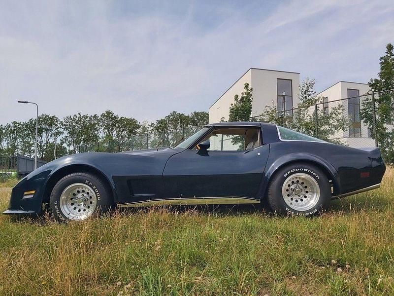 Gebraucht Chevrolet Corvette 272 PS (200 kW) 1979 Grün
