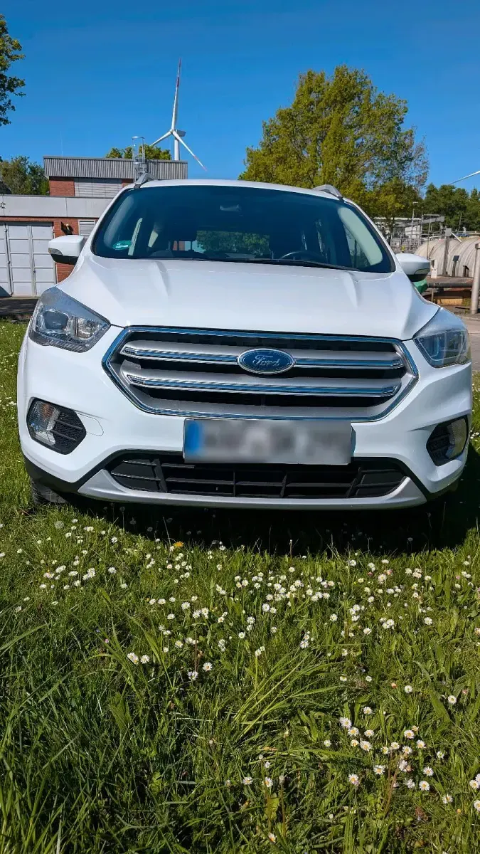 Gebraucht Ford Kuga 150 PS (110 kW) 2017 Weiß SUV