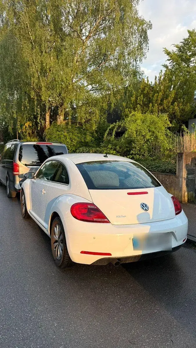 Gebraucht VW Beetle 105 PS (77 kW) 2016 Weiß Kleinwagen