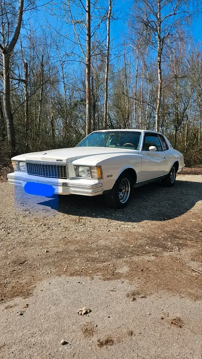 Gebraucht Chevrolet Monte Carlo 160 PS (117 kW) 1978 Weiß Coupé