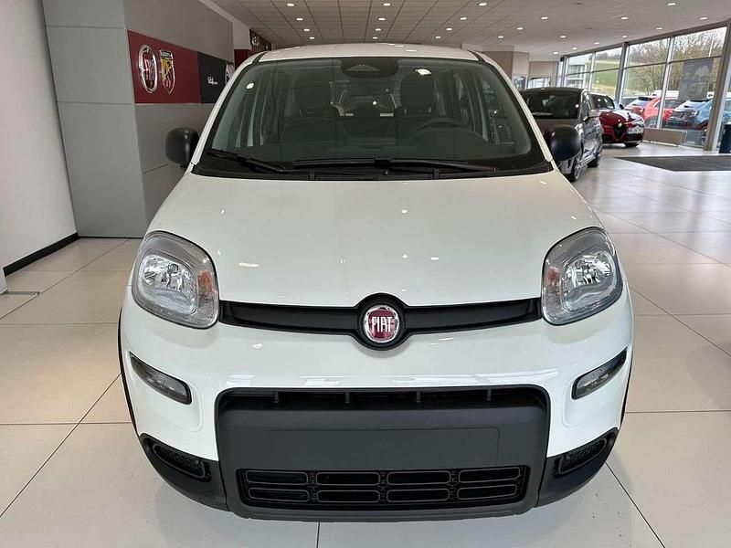 Neu Fiat Panda 69 PS (50 kW) 2025 Weiß Kleinwagen