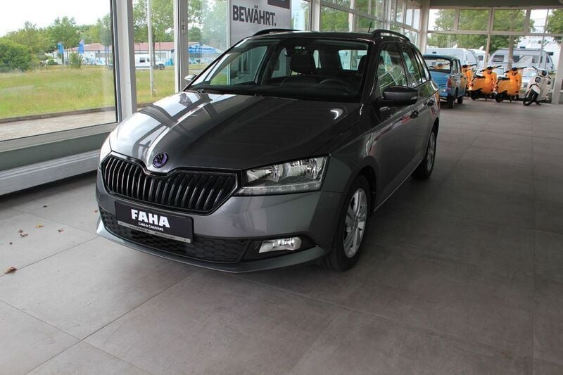Grau Gebraucht 2022 Skoda Fabia Active Kombi | 14.990 € (Guter Preis) - Bild 1/4