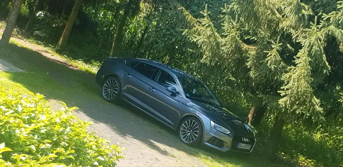 Gebraucht Audi A5 Sportback 190 PS (139 kW) 2019 Grau Kleinwagen