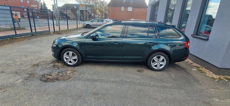 Gebraucht Skoda Octavia Ambition 150 PS (110 kW) 2020 Grün Kombi