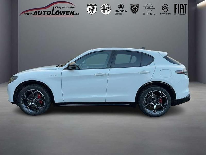 Neu Alfa Romeo Stelvio Veloce 209 PS (153 kW) 2025 Bianco banchise, uni SUV