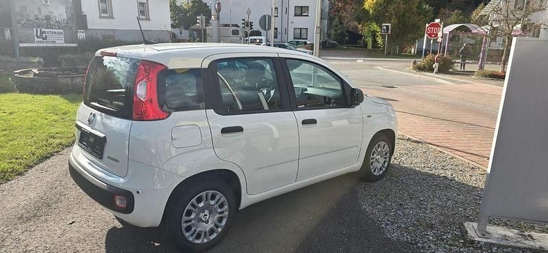 Neu Fiat Panda 69 PS (50 kW) 2025 Weiß Kleinwagen