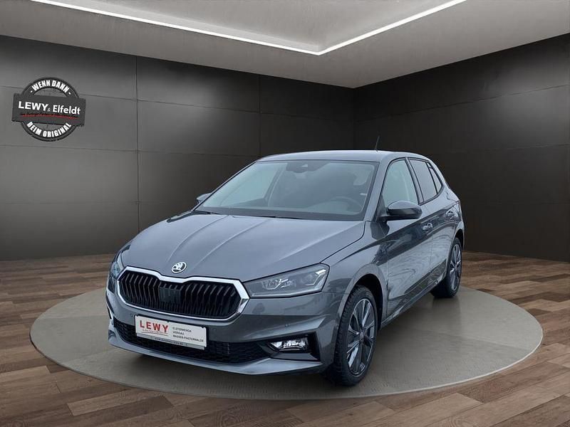 Grau Neu 2026 Skoda Fabia Tour Limousine | 23.800 € (Etwas zu teuer) - Bild 1/4