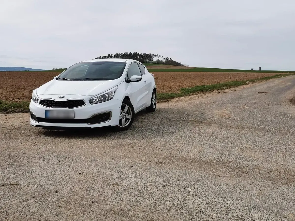 Gebraucht Kia ProCeed 116 PS (85 kW) 2015 Weiß Kleinwagen