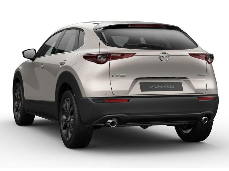 Gebraucht Mazda CX-30 Nagisa 122 PS (89 kW) 2024 Beige SUV