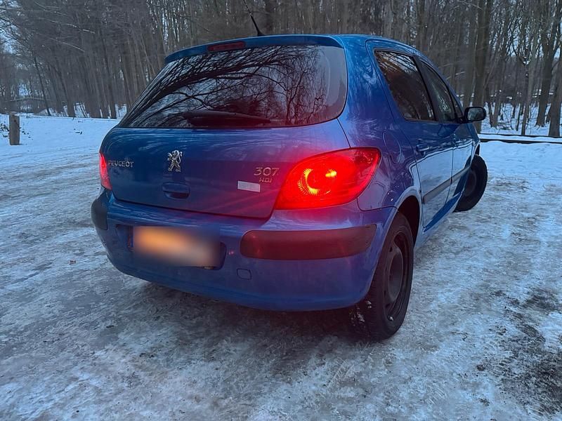 Gebraucht Peugeot 307 110 PS (80 kW) 2007 Blau Kombi
