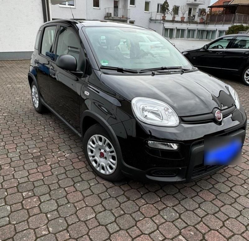 Schwarz Gebraucht 2023 Fiat Panda Kleinwagen | 9.000 € (Guter Preis) - Bild 1/4