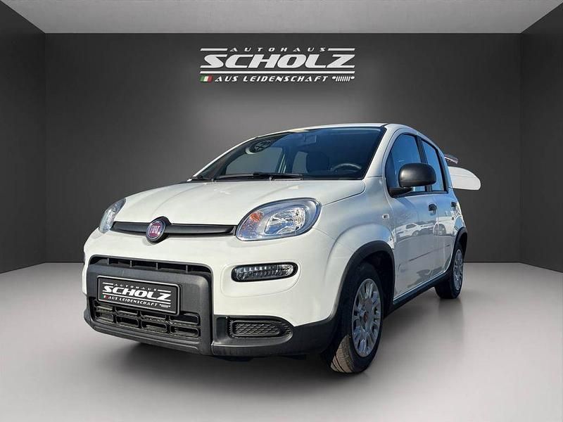 Gebraucht Fiat Panda 71 PS (52 kW) 2024 Gelato weiß Kleinwagen