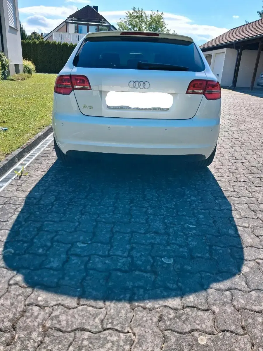 Gebraucht Audi A3 S-Line 160 PS (117 kW) 2008 Weiß Kleinwagen