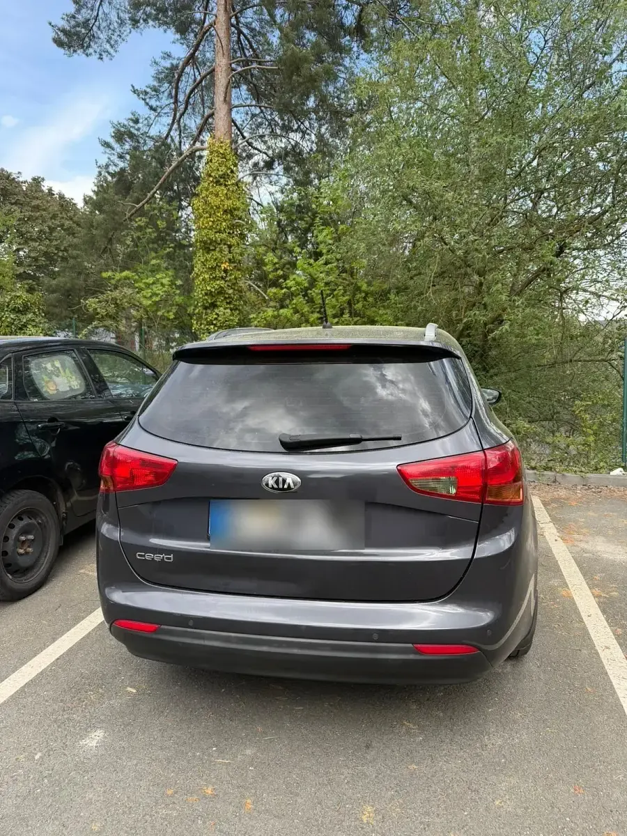 Gebraucht Kia Ceed 136 PS (100 kW) 2014 Grau Kleinwagen