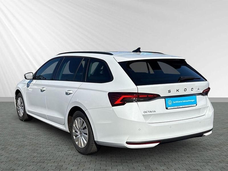 Gebraucht Skoda Octavia Selection 150 PS (110 kW) 2025 Weiß Kombi