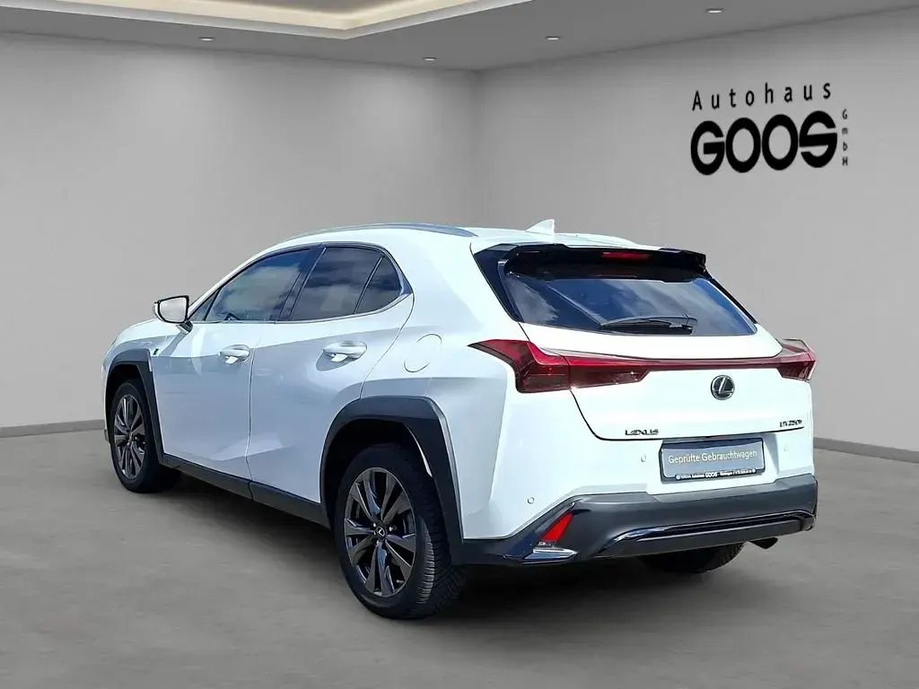 Gebraucht Lexus UX 250h 184 PS (135 kW) 2023 Weiß SUV