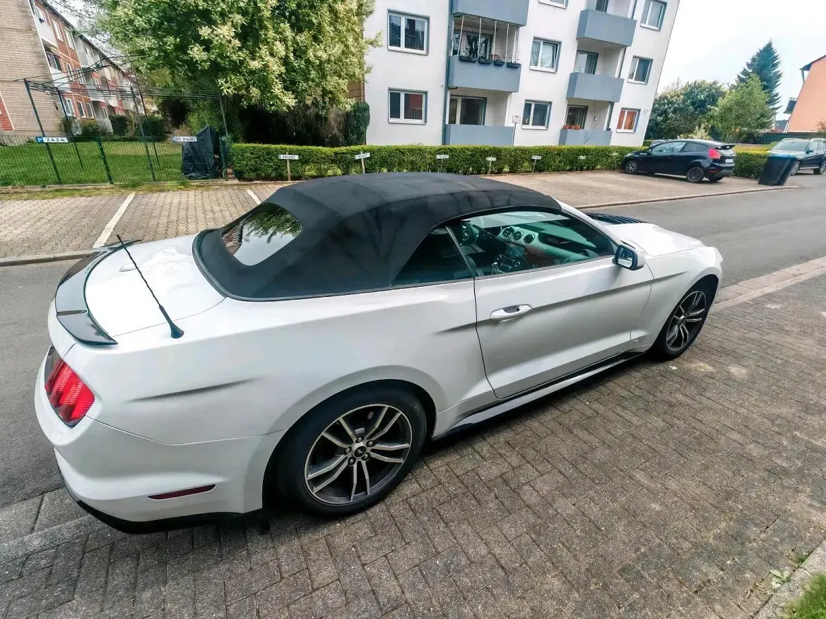 Occasion Ford Mustang Convertible 317 ch (233 kW) 2017 Blanc Cabriolet