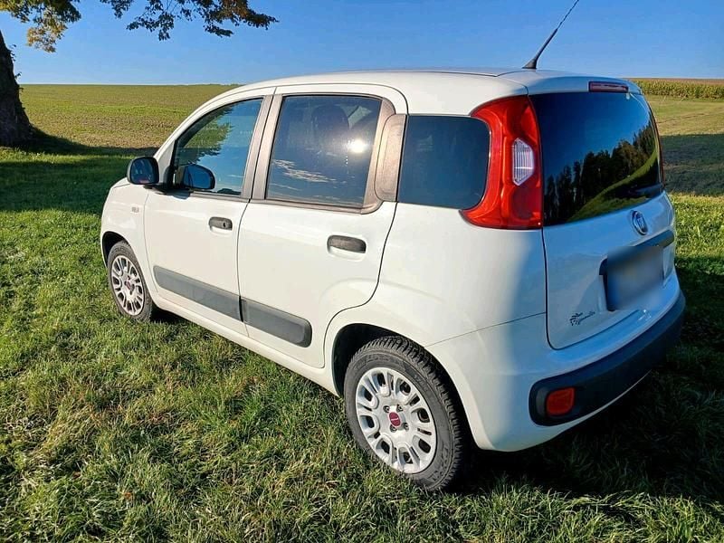 Weiß Gebraucht 2016 Fiat Panda Easy Kleinwagen | 5.900 € (Guter Preis) - Bild 1/4