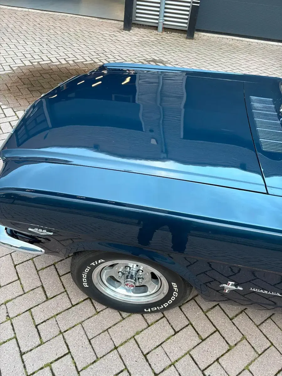 Gebraucht Ford V8 Fastback 202 PS (148 kW) 1965