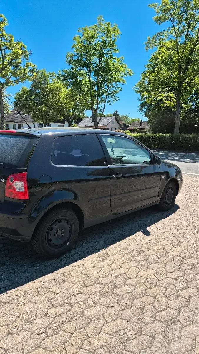 Usata VW Polo 75 CV (55 kW) 2002 Nero Utilitaria