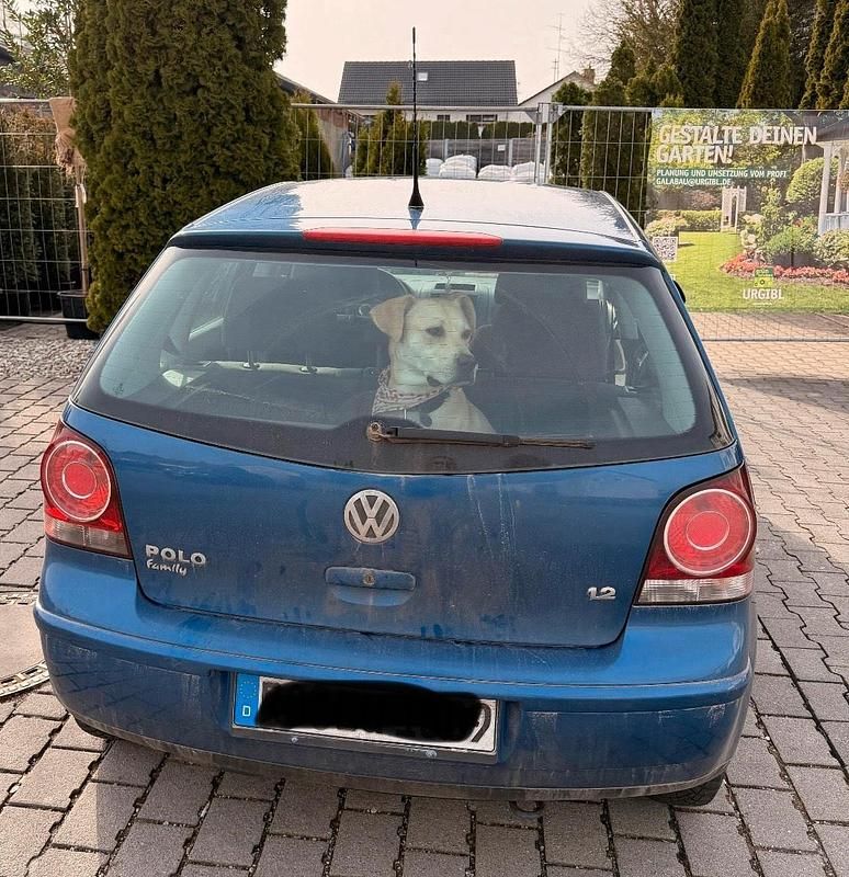 Gebraucht VW Polo 54 PS (39 kW) 2007 Blau Kleinwagen