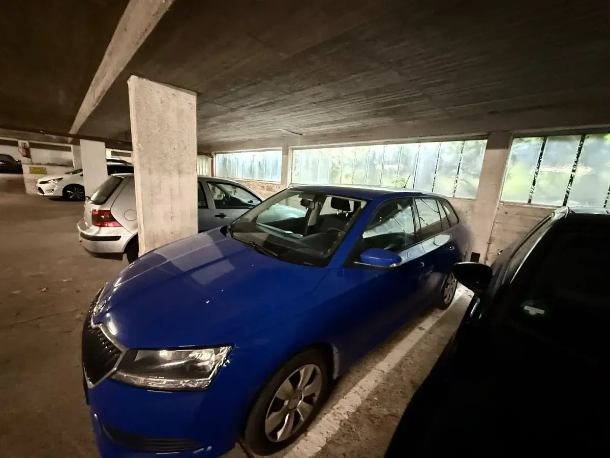 Gebraucht Skoda Fabia Active 95 PS (69 kW) 2019 Blau Kleinwagen