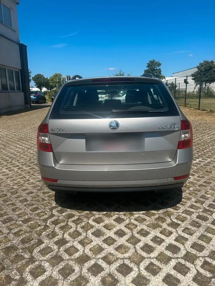 Gebraucht Skoda Octavia 116 PS (85 kW) 2018 Grau Kombi