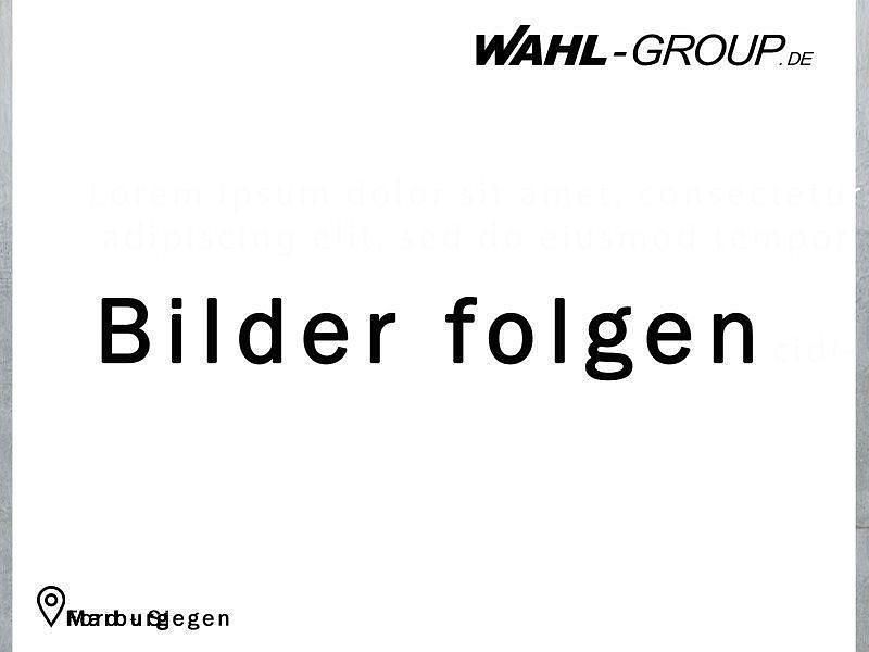 Neu Ford Transit Trend 125 PS (91 kW) 2025 Weiß Van