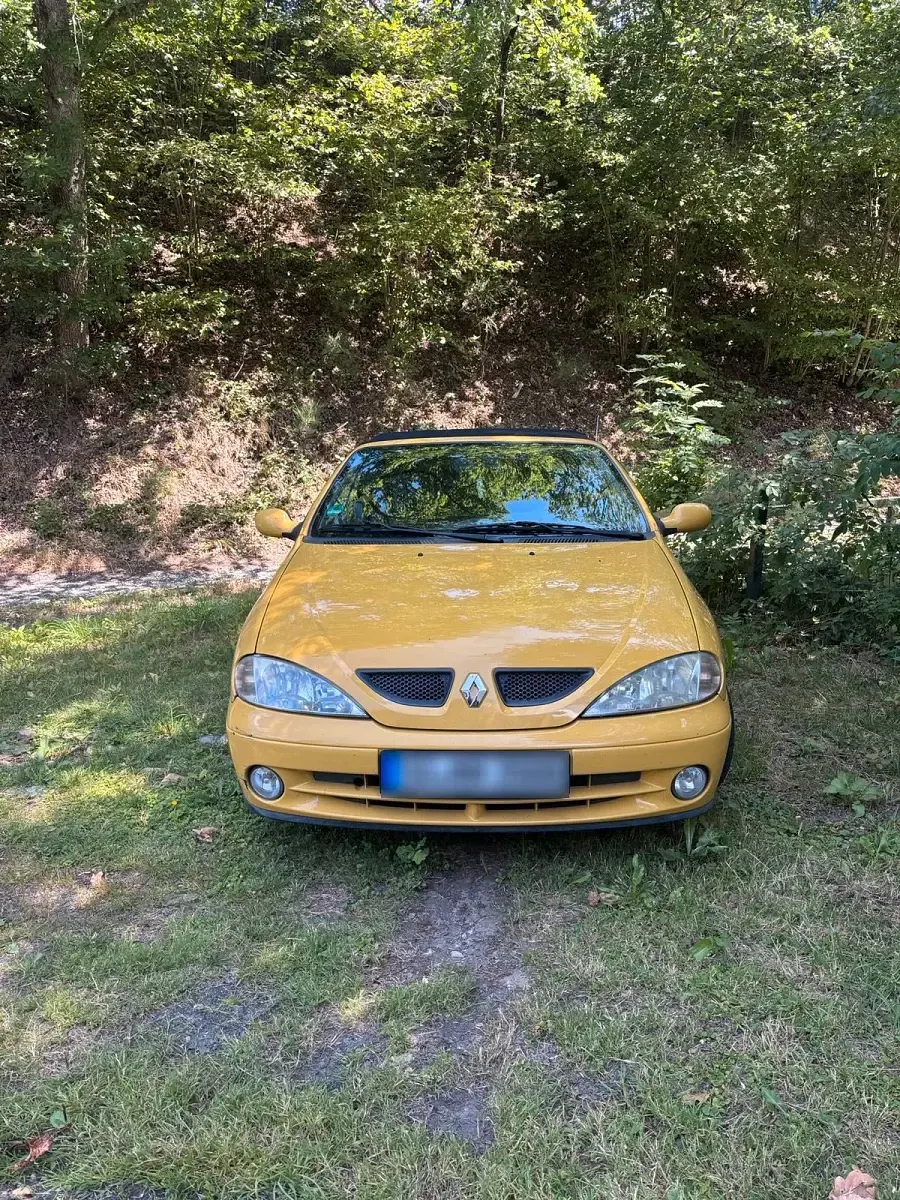 Gebraucht Renault Mégane Cabriolet 95 PS (69 kW) 1999 Gelb Cabrio