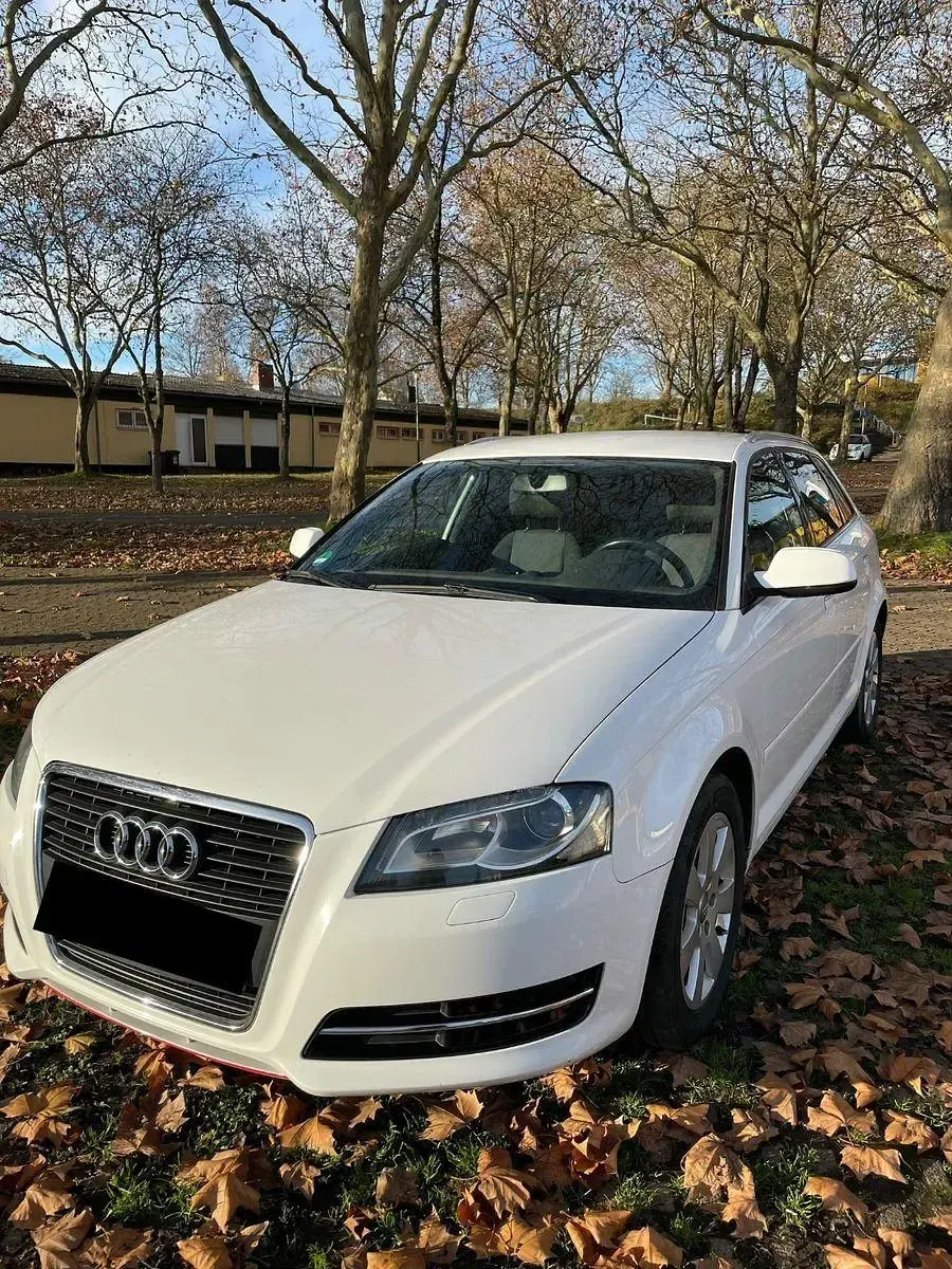 Gebraucht Audi A3 105 PS (77 kW) 2011 Weiß Kleinwagen