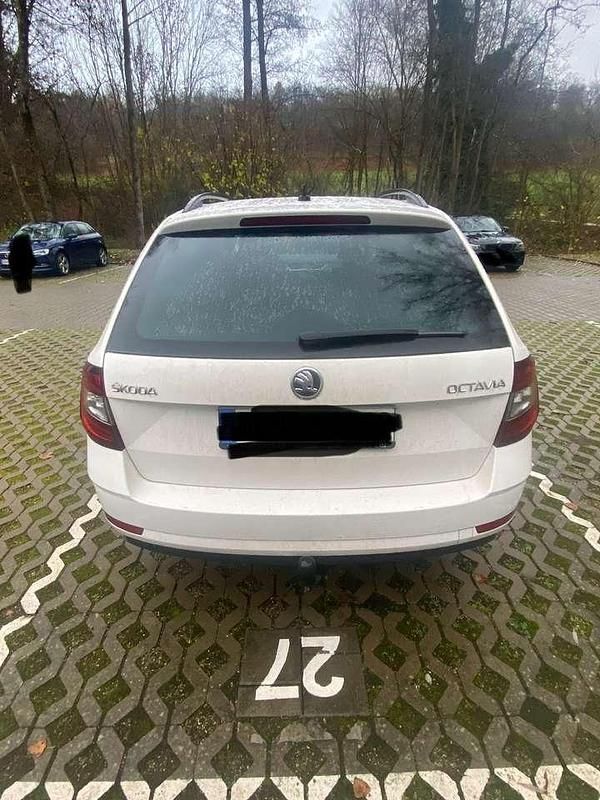 Weiß Gebraucht 2021 Skoda Octavia Tour Kombi | 24.500 € (Etwas zu teuer) - Bild 1/4