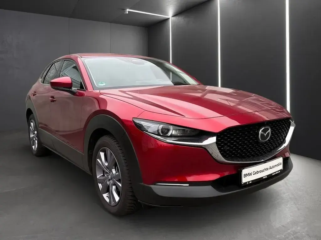 Gebraucht Mazda CX-30 Exclusive 150 PS (110 kW) 2024 Rot SUV