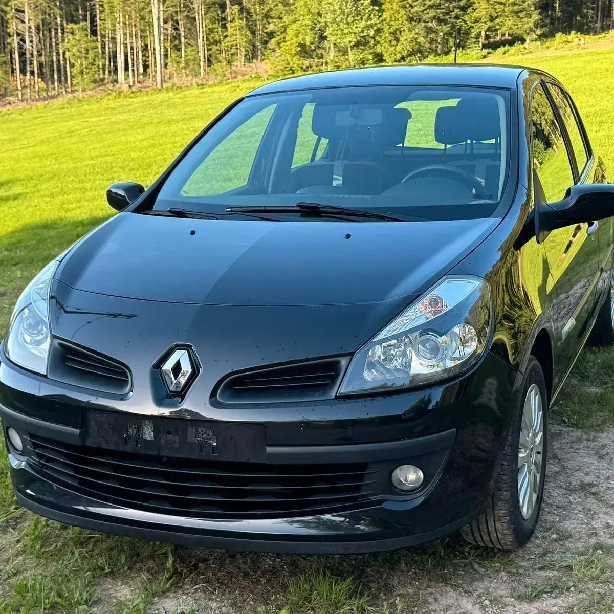 Occasion Renault Clio III Rip Curl 75 ch (55 kW) 2009 Noir Citadine