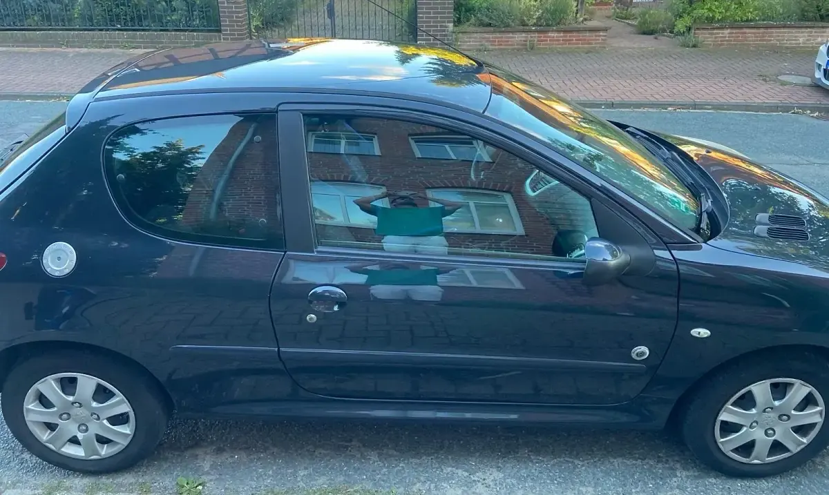 Gebraucht Peugeot 206+ 68 PS (50 kW) 2012 Blau Kleinwagen