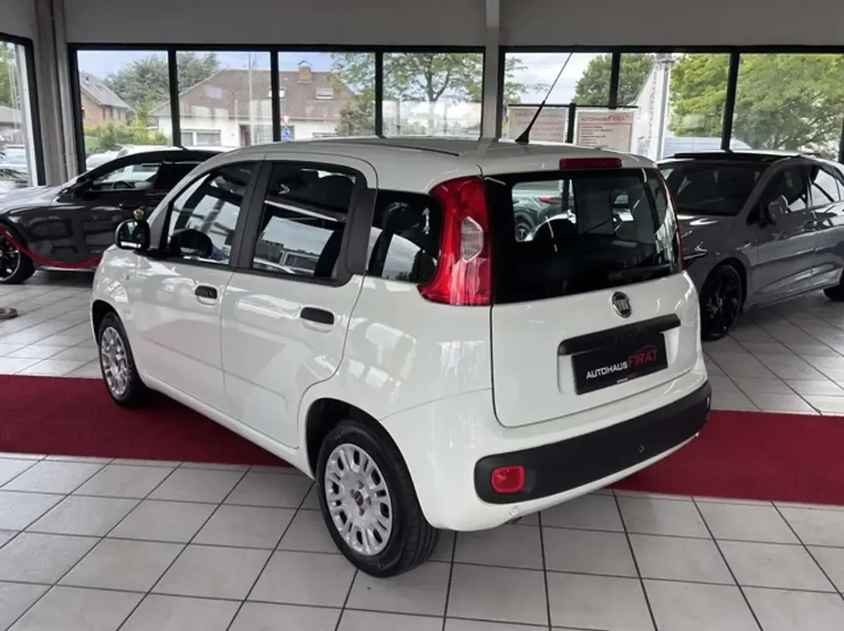 Gebraucht Fiat Panda Easy 69 PS (50 kW) 2017 Weiß Kleinwagen