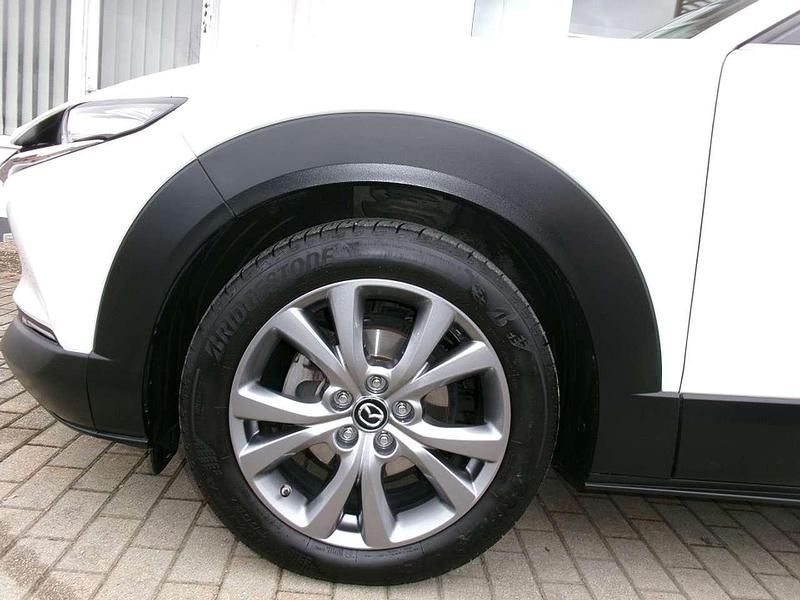 Gebraucht Mazda CX-30 Selection 122 PS (89 kW) 2023 Arctic white SUV