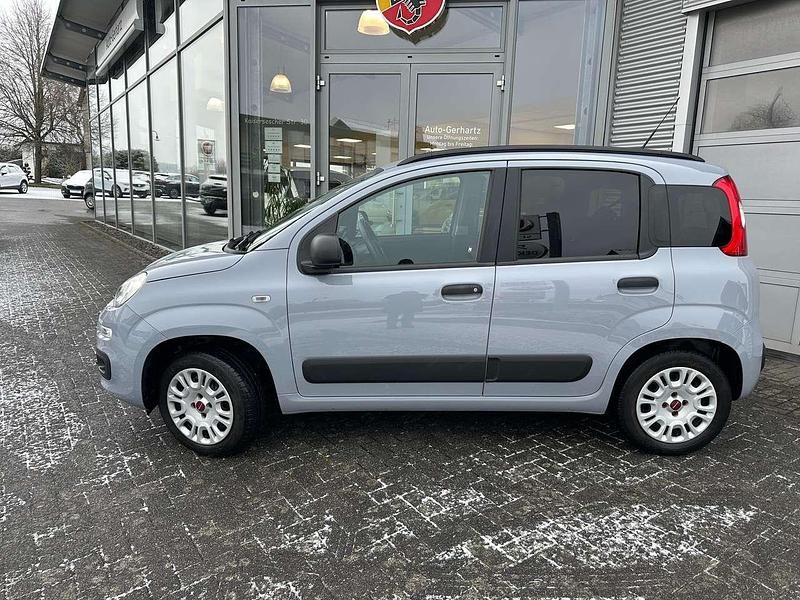 Gebraucht Fiat Panda Easy 69 PS (50 kW) 2019 Colore esterno (************** Kleinwagen
