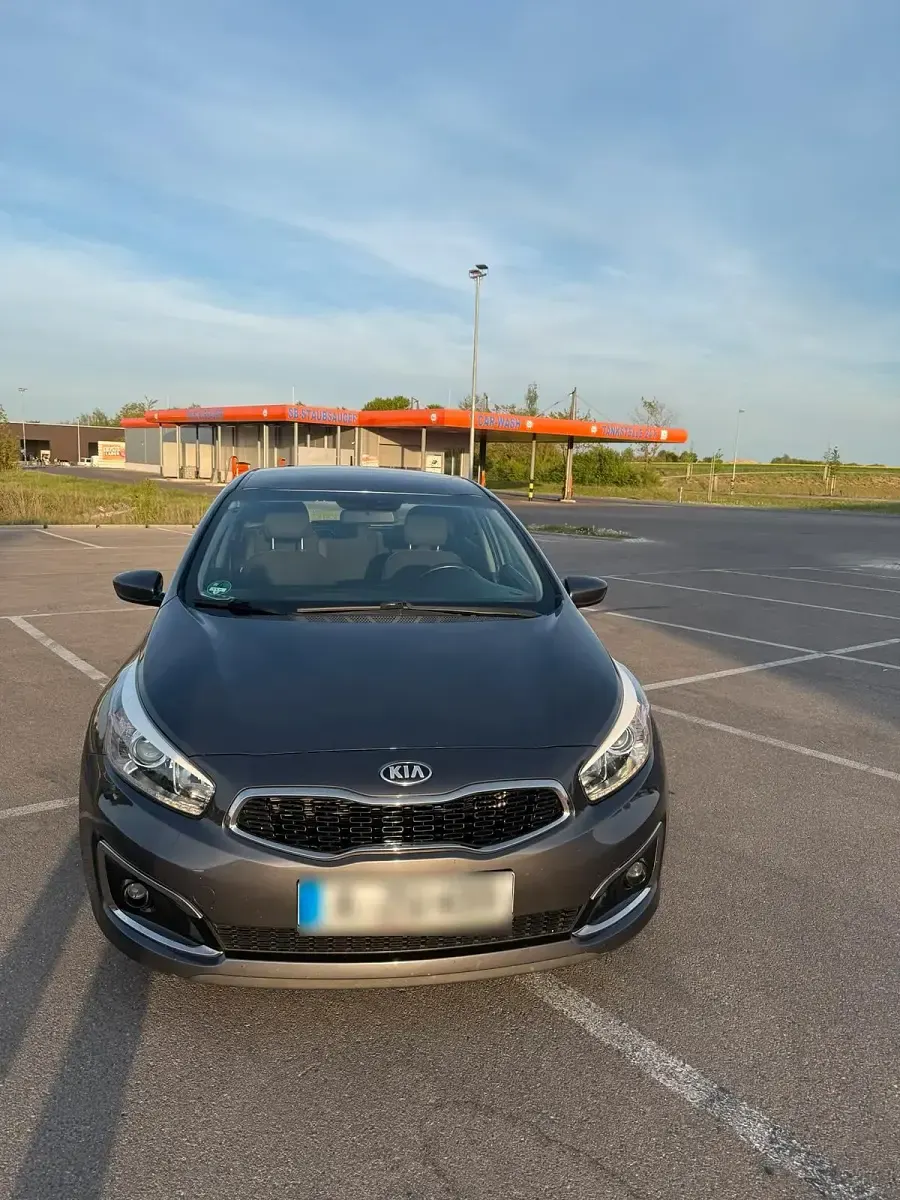 Używany Kia Ceed Edition 7 101 KM (74 kW) 2016 Szary Hatchback