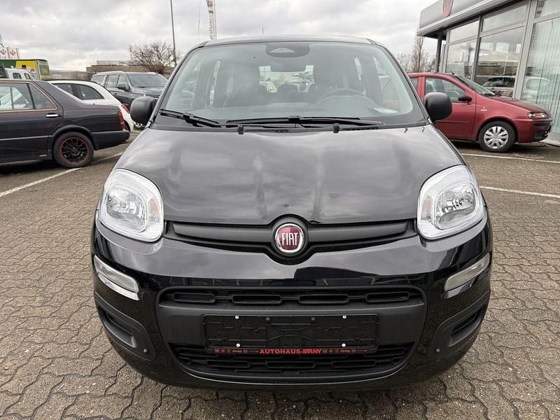 Neu Fiat Panda 69 PS (50 kW) 2025 Cinema schwarz Kleinwagen