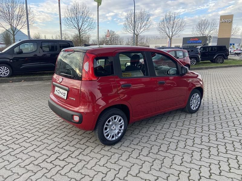 Neu Fiat Panda 69 PS (50 kW) 2025 Rot Kleinwagen