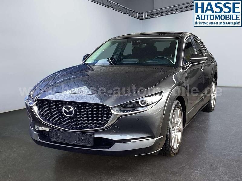 Gebraucht Mazda CX-30 Selection 180 PS (132 kW) 2019 Machine gray SUV