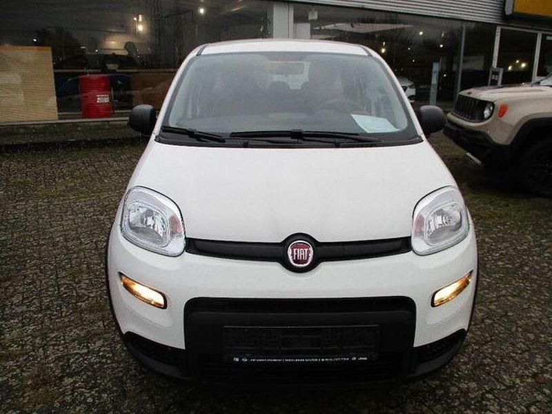 Gebraucht Fiat Panda 69 PS (50 kW) 2023 Weiß Kleinwagen