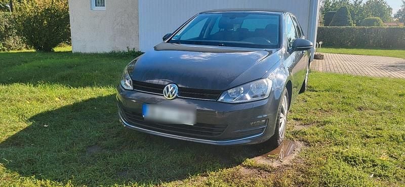 Grau Gebraucht 2016 VW Golf VII Allstar Kleinwagen | 9.500 € (Guter Preis) - Bild 1/4